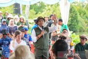Menhut pastikan tambak aman meski ditanami mangrove