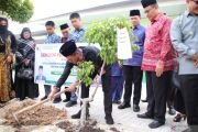Kemenag Sumsel jalankan program tanam pohon di madrasah