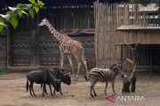 YMT resmi kembalikan tanggung jawab satwa Bandung Zoo ke pemerintah