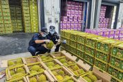 Yunnan, China tingkatkan efisiensi bea cukai untuk buah dari ASEAN