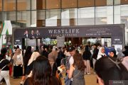 Padati area konser Westlife, penggemar tak sabar bernostalgia