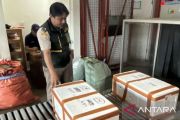 UMKM Mimika Papua ekspor perdana kepiting bakau ke Malaysia
