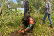 Tanam 555 bibit pohon, Desa Tumpak hijaukan kawasan Hutan Pujut Lombok Tengah