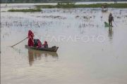 FOTO - Siswa di Makassar gunakan sampan ke sekolah akibat banjir