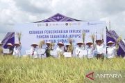 Fokuskan Ketahanan Pangan, GPIPS Jadi Strategi Baru Jaga Inflasi