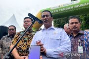 Mentan/Kabapanas: 9 komoditi pangan di Indonesia capai swasembada