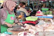 Marak lapak di pinggir jalan, omzet pedagang ayam di PIM Sampit anjlok