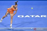 Karolina Muchova tumbangkan Maria Sakkari dan amankan tiket final WTA Qatar Open 2026