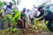 Peringati HPN, PWI Kudus tanam pohon di Pegunungan Muria