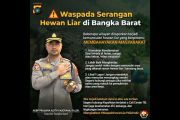 Polres Bangka Barat rilis peta lokasi rawan serangan buaya