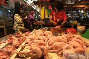 Harga ayam sempat tembus Rp45 ribu, Mendag: Rata-rata nasional stabil
