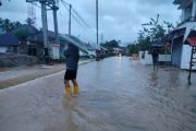 Jalan nasional dari Agam menuju Pasaman Barat terendam banjir&nbsp;