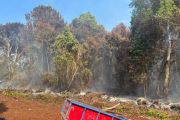 Polres Bengkalis tetapkan tersangka perambahan dan kebakaran hutan