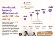Penduduk bekerja di Indonesia naik 1,37 juta orang