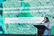 Indonesia launches national action plan for blue carbon ecosystems