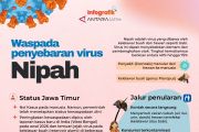 Waspada penyebaran virus Nipah