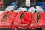 Polisi tangkap penyelundup ganja antar kota di Jayapura