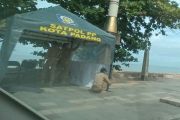 Satpol PP dirikan posko di sejumlah titik Pantai Padang