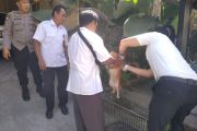 Mataram jemput bola vaksinasi rabies, Hewan kesayangan warga kini aman