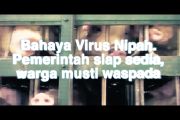 Bahaya Virus Nipah. Pemerintah siap sedia, warga harus waspada