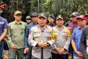 Kapolda Riau usut tuntas kasus kematian gajah Sumatera