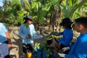 Taruna KKP tanam bibit buah di daerah terdampak bencana Kabupaten Agam