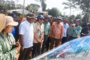 Bupati resmikan Nursery PT Vale, konservasi dan pembelajaran ruang hijau di Kolaka