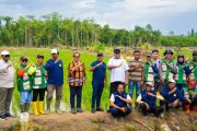 Pemprov Papua perkuat fondasi kedaulatan pangan melalui cetak sawah