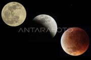 Malam ini, Langit NTB memerah! saksikan gerhana bulan total 3 Maret 2026