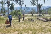 Bantuan Kementan untuk lahan pertanian rusak di Padang Pariaman
