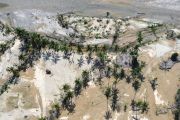 Bantuan Kementan untuk lahan pertanian rusak di Padang Pariaman