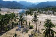 Bantuan Kementan untuk lahan pertanian rusak di Padang Pariaman
