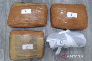 Polda Metro Jaya gagalkan peredaran 3 kg ganja di Jakpus