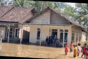 Banjir rendam 50 rumah di Desa Kertosari Lamsel  akibat tanggul sungai jebol