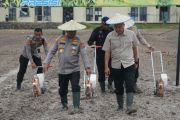 Polda Sultra tanam jagung di lahan 16 hektare dukung swasembada pangan