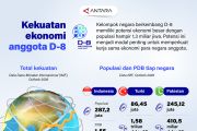 Kekuatan ekonomi anggota D-8