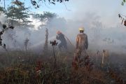 UPTD Damkar Tanjung Uban berhasil padamkan kebakaran lahan seluas 1,5 hektare