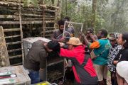 BKSDA Maluku dan BBKSDA Papua Barat melepasliarkan 23 satwa liar