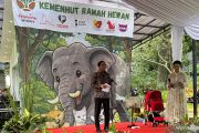 Canangkan Kemenhut Ramah Hewan, Menhut: Perlakukan kucing dengan baik