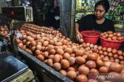 PIHPS: Harga telur ayam Rp33.050/kg, bawang merah Rp44.100/kg
