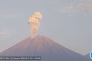 Semeru 11 kali erupsi dengan tinggi letusan hingga 1.200 meter