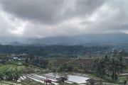 Cuaca di Denpasar diprakirakan berawan, kota lain di RI hujan lebat