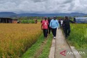 Pemkab Jayawijaya dorong pembukaan lahan persawahan