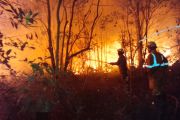 Damkar Tanjung Uban padamkan kebakaran lahan hingga malam