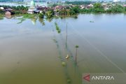 Banjir rendam ratusan rumah di Beji Pasuruan