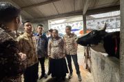 Wapres Gibran tekankan hilirisasi industri peternakan di Boyolali