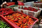Harga cabai rawit merah Rp91.700/kg, daging ayam Rp39.800 kg