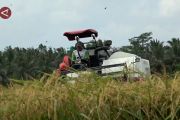 Modernisasi pertanian dorong produktivitas dan regenerasi petani
