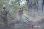 BPBD Kepri: Hampir 95 persen karhutla karena kesengajaan