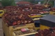 Puluhan truk sawit petani tertahan di Pelabuhan Roro, DPRD Riau panggil Dishub